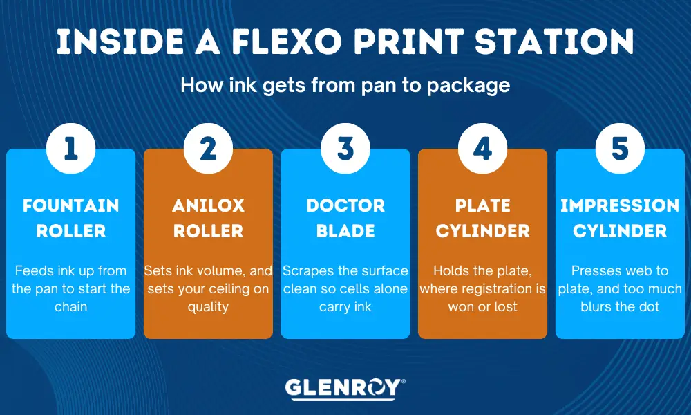 Infographic showing the five steps of a flexographic printing station, from fountain roller and anilox roller to doctor blade, plate cylinder, and impression cylinder